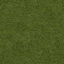 Grass_64HV texture from comlod1.txd (64x64 rgba)