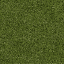 Grass_64HV_lod texture from comlod1.txd (64x64 rgba)