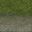 Grass_dirtpave_64HV texture from islandlodind.txd (32x32 rgba)