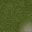 Grass_dirtpavecornerb_64HV texture from indradio.txd (64x64 rgba)