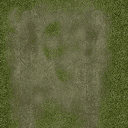 Grass_tyre2_128 texture from subind1.txd (128x128 rgba)