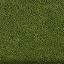 Grassdarkedge_64HV texture from italymisc.txd (64x64 rgba)
