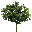 Newtreed32 texture from islandlodsubcom.txd (32x32 rgba)