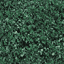 Shrub_64HVa texture from generic.txd (64x64 rgba)