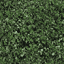 Shrub_64HVa texture from suburb2.txd (64x64 rgba)
