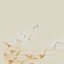 cabin2 texture from cutscenecameras.txd (64x64 rgba)