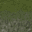 cliffnew_grass_128 texture from islandlodsubcom.txd (32x32 rgba)