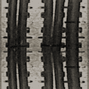 electriccables_128 texture from csitecutscene.txd (128x128 rgba)