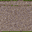 ind_land037 texture from islandlodind.txd (32x32 rgba)