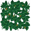 ivy_64 texture from indclub.txd (64x64 rgba)