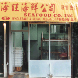 newchinaseafood256hi128 texture from chinatowns.txd (256x256 rgba)