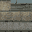 policeballhall texture from islandlodind.txd (32x32 rgba)
