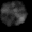 smoke5 texture from particle.txd (32x32 rgba)