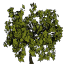 tree2_128 texture from comsky3.txd (64x64 rgba)