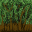 treebase_64H texture from pinetrees.txd (64x64 rgba)