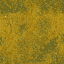 yellowscum64 texture from indjunk.txd (64x64 rgba)