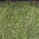 Bow_church_dirt_to_wall texture from lh_roads.txd (128x128 dxt1)