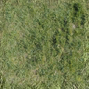 Bow_church_grass_alt texture from washotel2.txd (128x128 dxt1)
