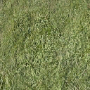 Bow_church_grass_gen texture from lh_roads.txd (128x128 dxt1)