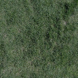 Bow_grass_gryard texture from washbuild120.txd (256x256 dxt1)