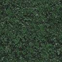 Est_Hedge02 texture from nbtecland.txd (128x128 dxt1)