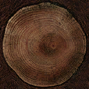 Est_tree_rings texture from tikiprops01.txd (128x128 dxt1)