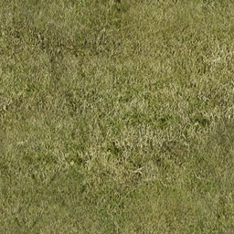 Grass texture from star3.txd (256x256 dxt1)