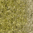 Grass-base-Right texture from kickstart.txd (128x128 dxt1)
