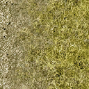 Grass-base-left texture from kickstart.txd (128x128 dxt1)