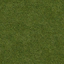 Grass_128HV texture from dt_sheraton.txd (128x128 dxt1)