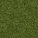 Grass_128HV texture from sharedalleyod.txd (128x128 dxt1)