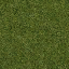 Grass_64HV texture from nbeach_lod.txd (64x64 dxt1)