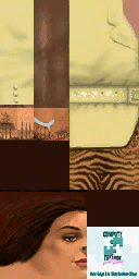 WFYSH texture from wfysh.txd (128x256 dxt1)