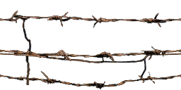 Was_scrpyd_barbwire texture from buildinghan.txd (256x128 dxt3)