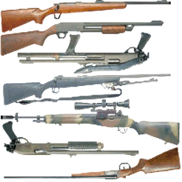 ammu_rifles1 texture from wash_ammu.txd (256x256 dxt3)