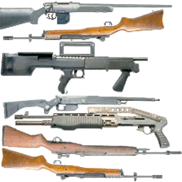 ammu_rifles2 texture from dt_ammu.txd (256x256 dxt3)