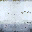 ap_fuelLOD texture from ap_lod.txd (32x32 dxt1)