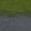 ap_rungrass_blend texture from ap_francisland.txd (128x128 dxt1)