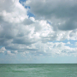 backdrop texture from ci_island1.txd (256x256 dxt1)