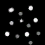 csadmiralspec texture from merced.txd (64x64 dxt1)