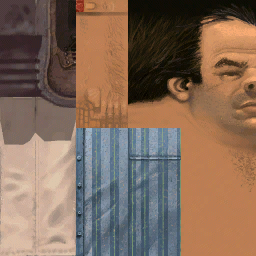 dgoon1 texture from dgoona.txd (256x256 dxt1)