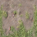 dt_bmx_dirtgrass2 texture from dt_ntrack.txd (128x128 dxt1)