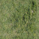 dt_bmx_grass texture from dt_nbeach.txd (128x128 dxt1)