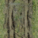 dt_dirttrack_grass texture from dt_nbeach.txd (128x128 dxt1)