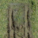 dt_dirttrack_grassend texture from dt_nbeach.txd (128x128 dxt1)