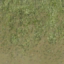 dt_grass_sand texture from dt_shops5.txd (128x128 dxt1)
