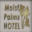 dt_moistpalms1 texture from dt_sheraton.txd (128x128 dxt1)