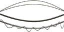 dt_overwire_t texture from dtn_cables.txd (128x64 dxt3)
