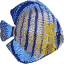 fish1 texture from fish3.txd (64x64 dxt3)