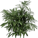 foliage256 texture from generic.txd (128x128 dxt3)